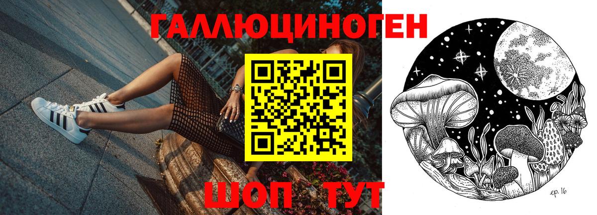 Галлюциногенные грибы Magic Shrooms Ахтубинск