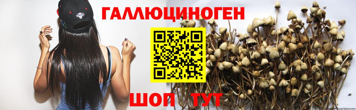 Галлюциногенные грибы MAGIC MUSHROOMS  Вход с VPN  Ахтубинск 
